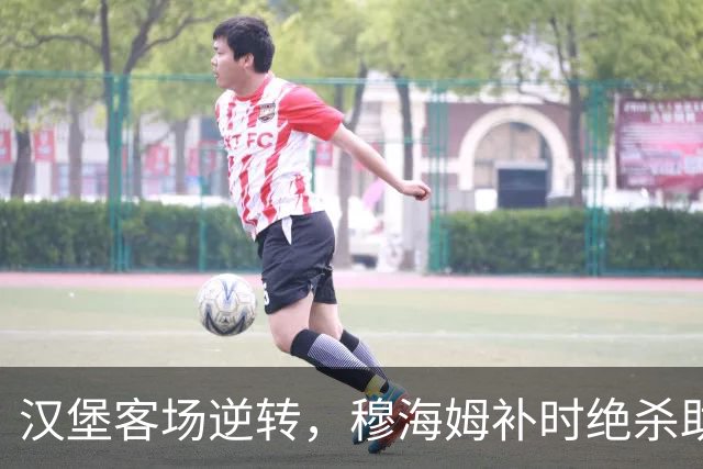 汉堡客场逆转，穆海姆补时绝杀助队获胜